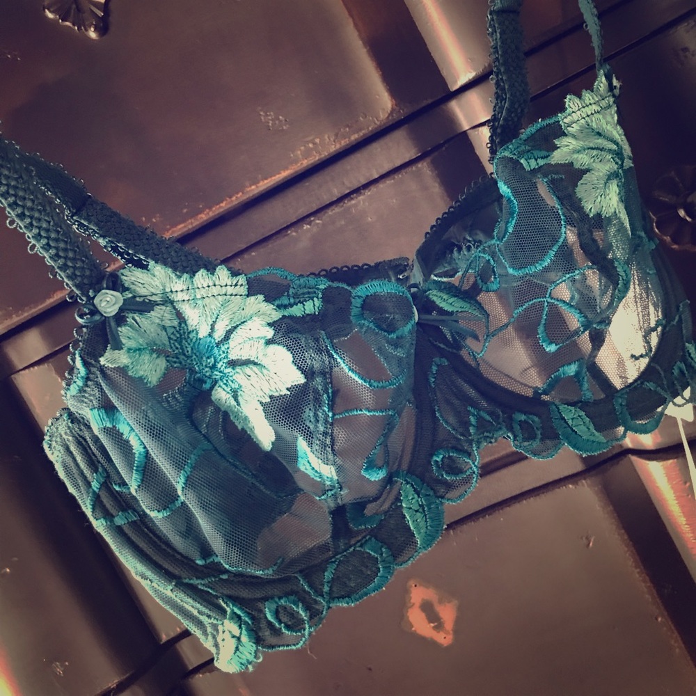 Beautiful turquoise lace bra
